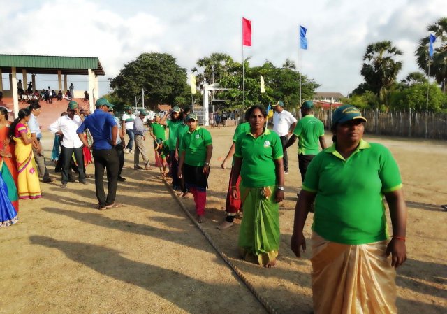 division sports 2019 80